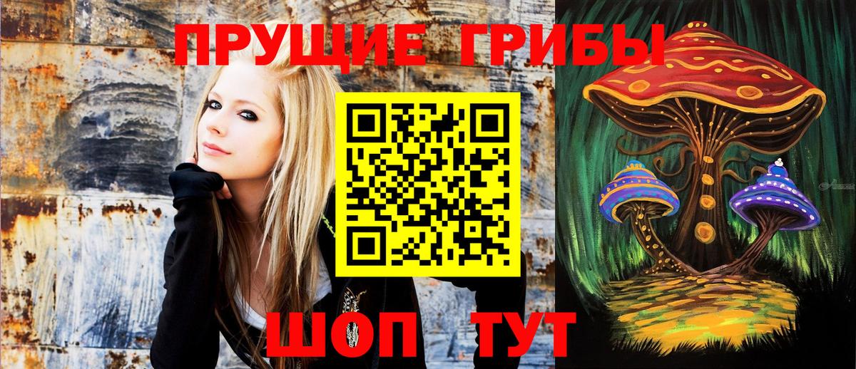 Осинники  Псилоцибиновые грибы Psilocybe  Вход с VPN  Галлюциногенные грибы Psilocybine cubensis 